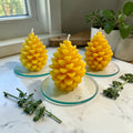 Beeswax Pinecone Candles | Natural Hand-poured 100% Pure USA Beeswax - Eco-Friendly